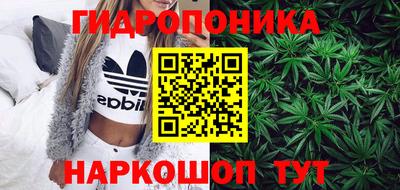 круглые Владимир
