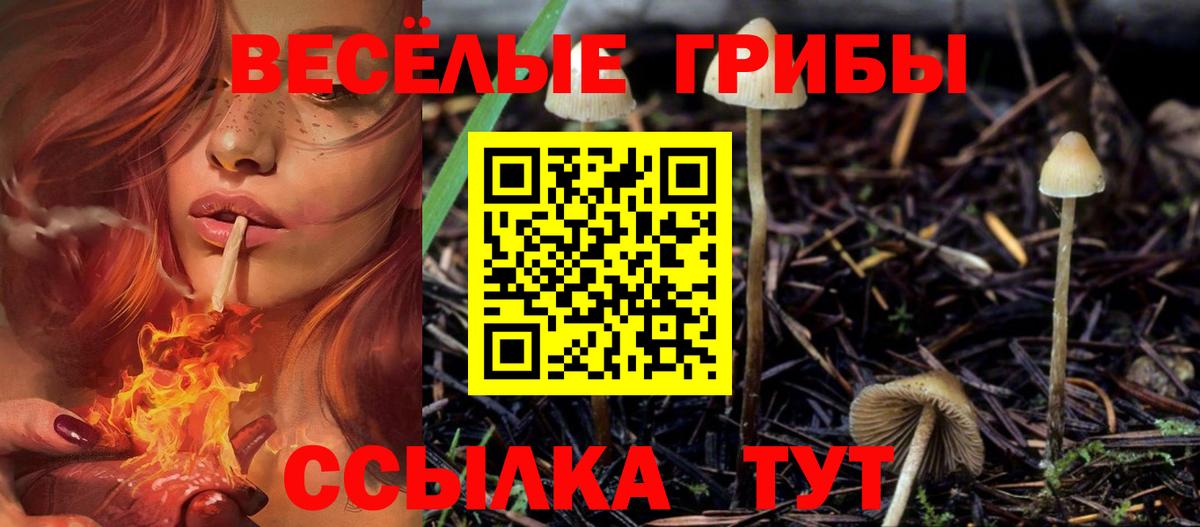 Галлюциногенные грибы Psilocybine cubensis Гуково